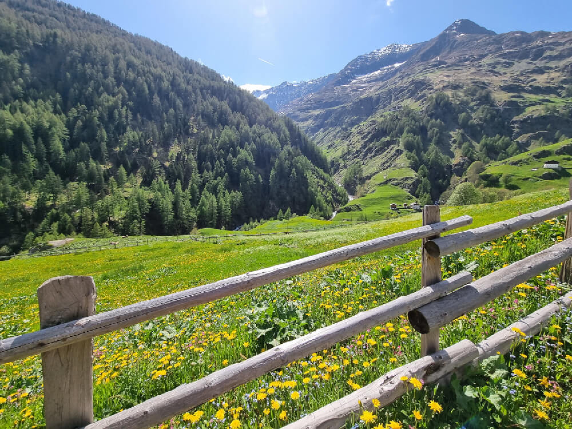 Bergchalet Englhof - 